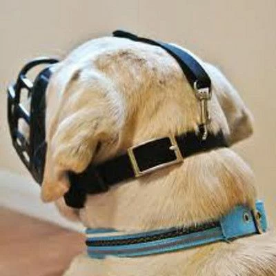 Muselière Baskerville Ultra Muzzle T5 – Image 3