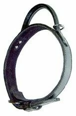 Bobby Collier Bombee Molosse T.2 75 Cm