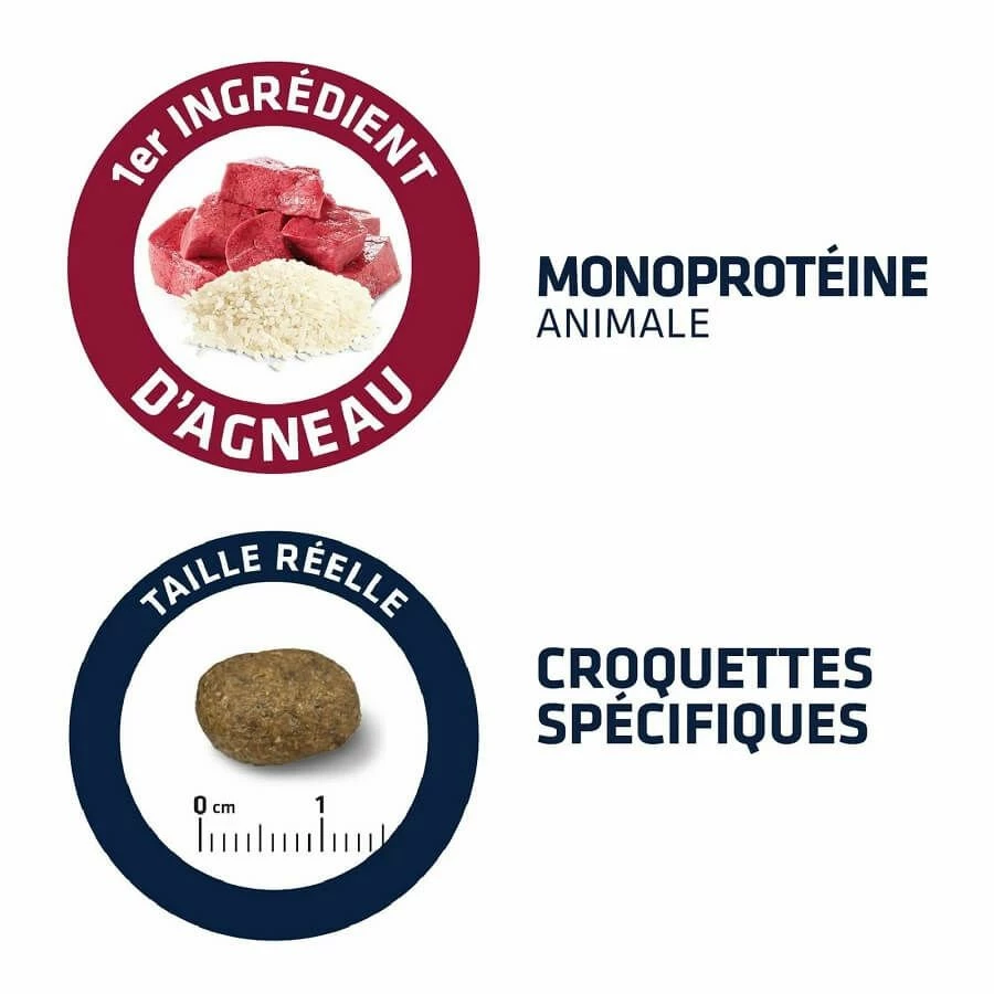 Advance Adult Agneau Et Riz Chien 12 Kg – Image 4