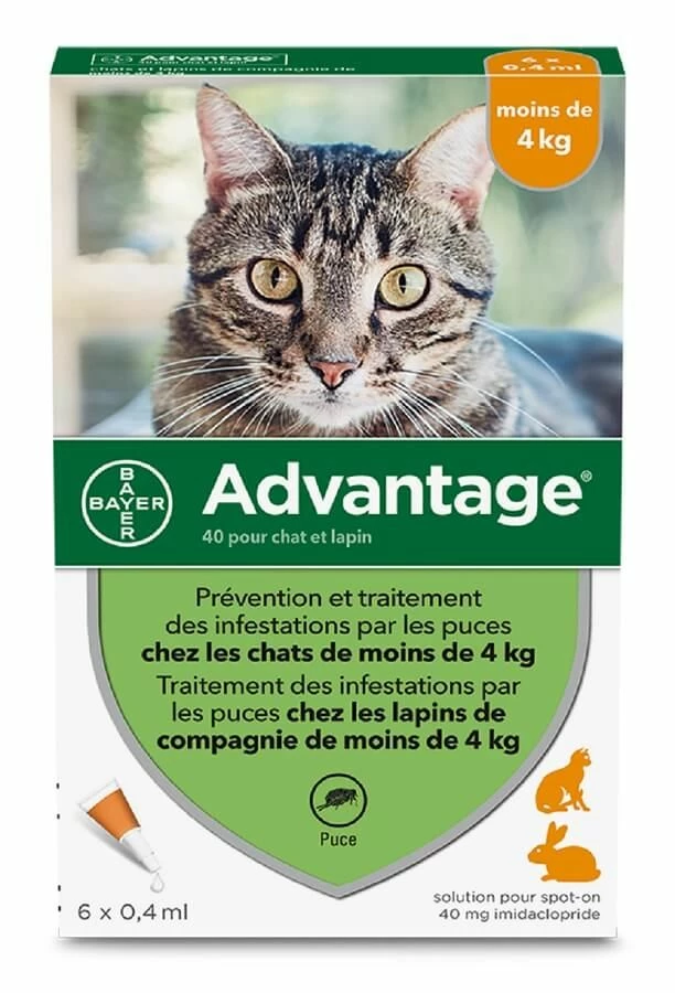 Advantage 40 Chat Et Lapin De 1 Ă 4 Kg 6 Pipettes