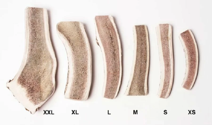 Evident Bois De Cerf Tranché L – Image 2