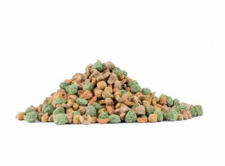 Care+ Cochon D'Inde 5 Kg â Image 2