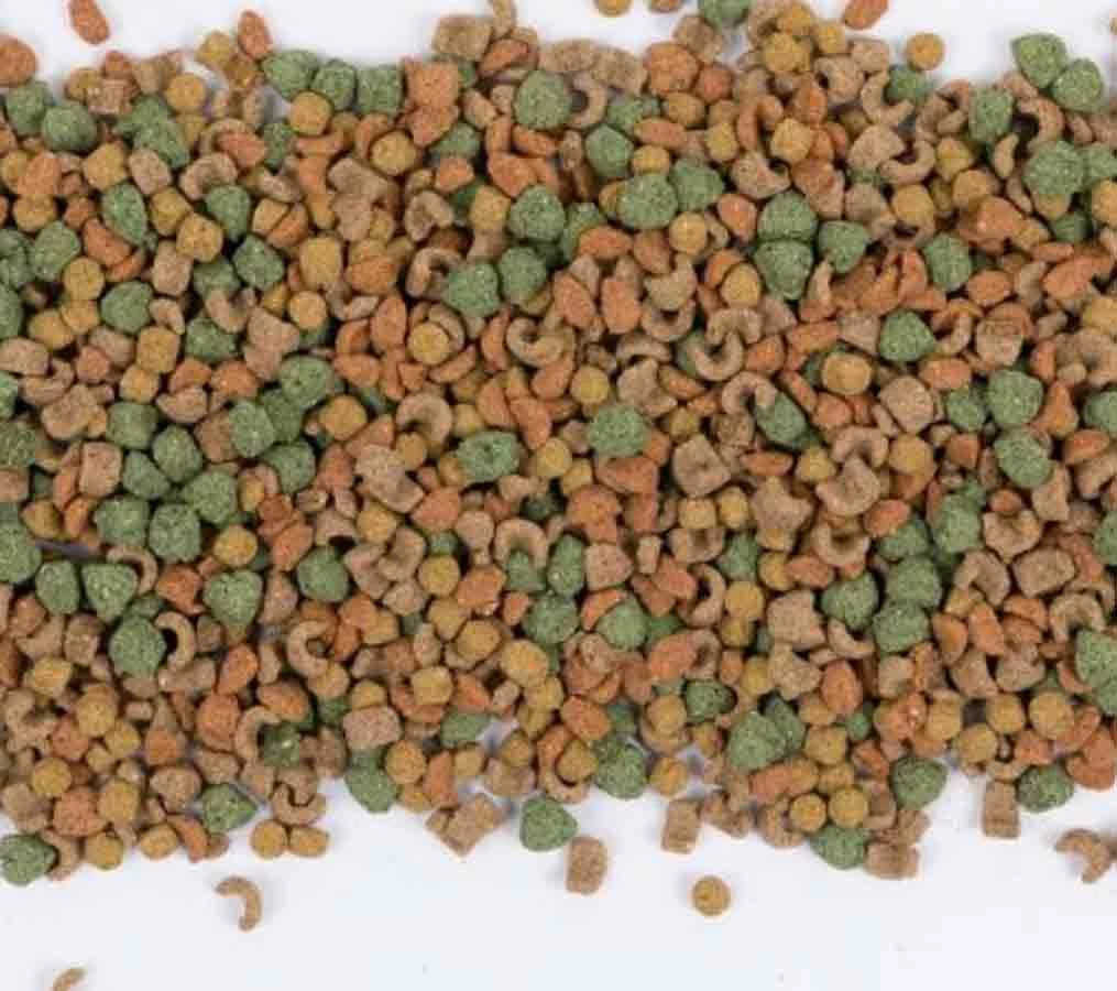 Care+ Cochon D'Inde 5 Kg â Image 3