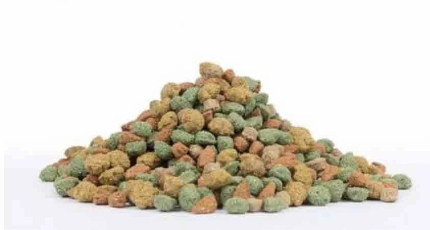 Care+ Lapin 1.5 Kg – Image 2