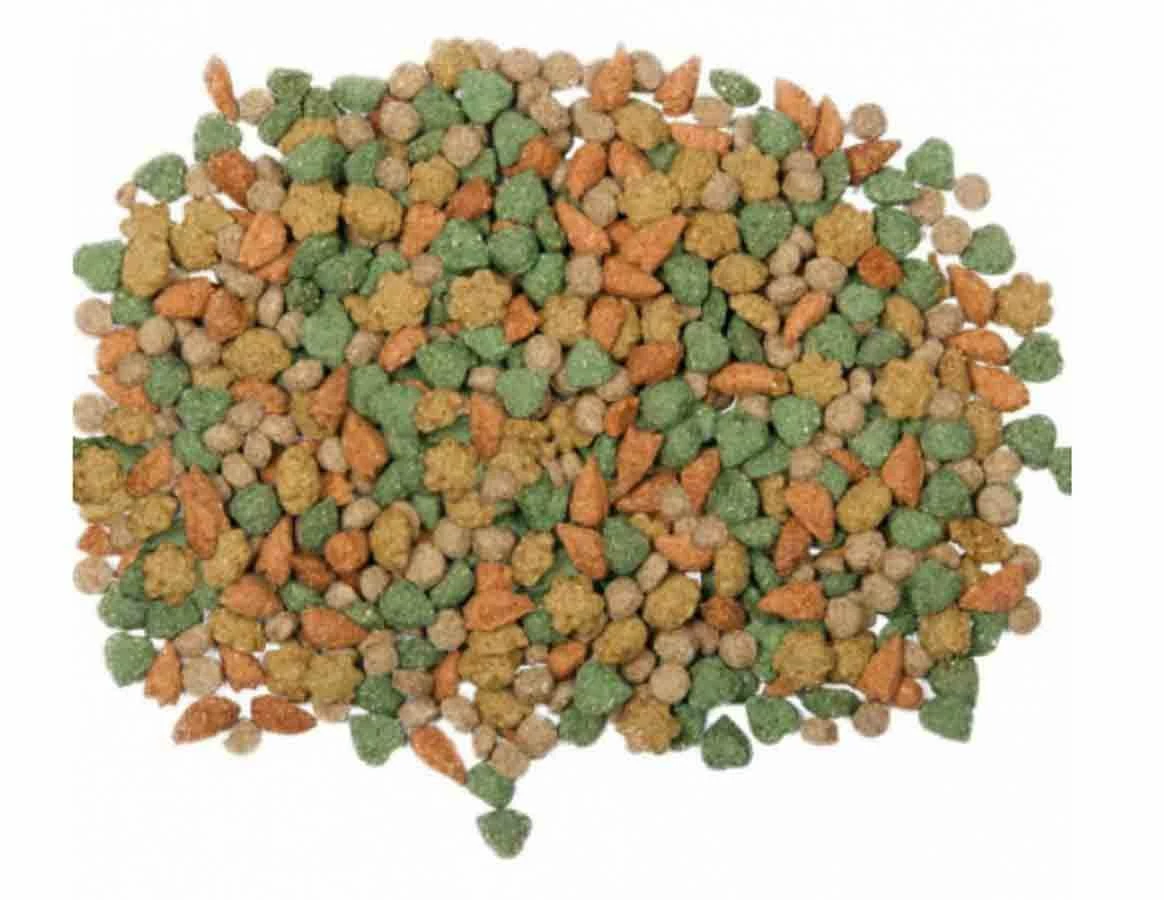 Care+ Lapin 1.5 Kg – Image 3