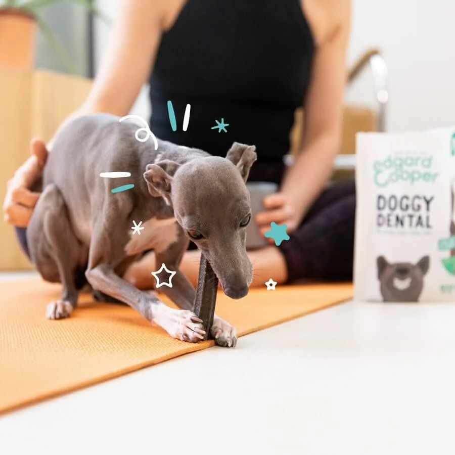 Edgard & Cooper Mach'sticks Fraise Et Menthe Petit Chien 105 G – Image 3