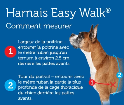 Easy Walk Harnais XL Noir â Image 3