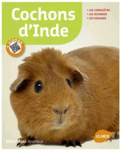 Livre - Cochons D'Inde