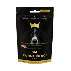 Comme Un Roi Friandises Chien Mobilité 100 G