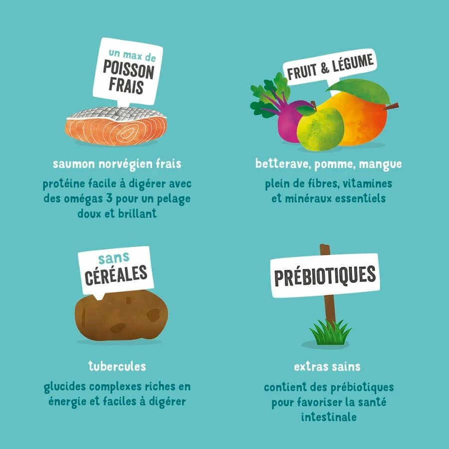 Edgard & Cooper Saumon Frais Chien Adulte 7 Kg – Image 7