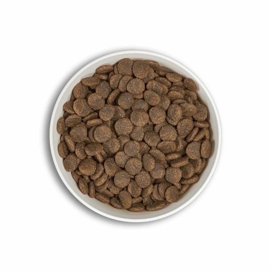 Millenium ERA Millennium Adulte Moyenne Et Grande Race Saumon Hareng 12 Kg â Image 3