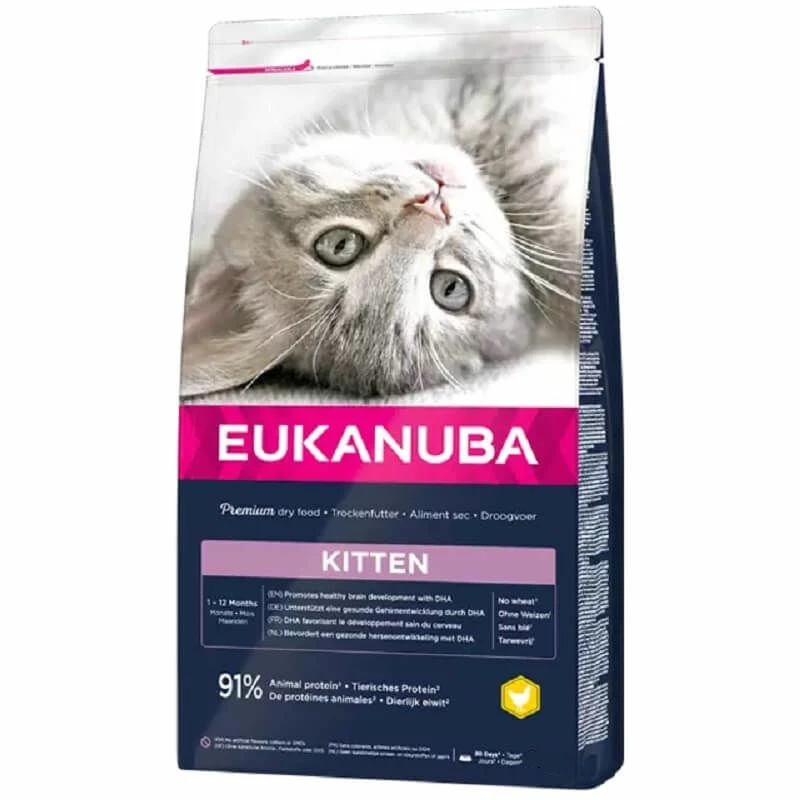 Eukanuba Chaton Healthy Start Kitten 1-12 Mois 10 Kg