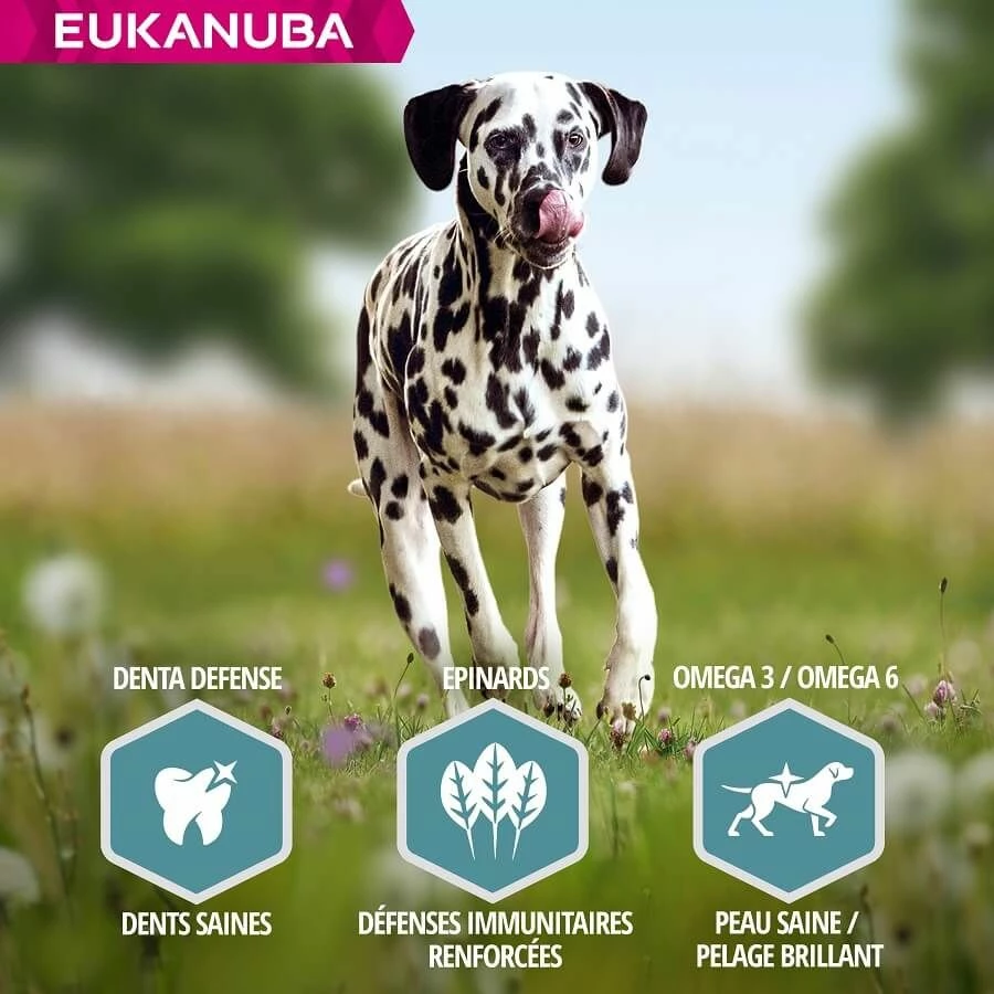 Eukanuba Chien Adult Grande Race Saumon & Orge 12 Kg – Image 7