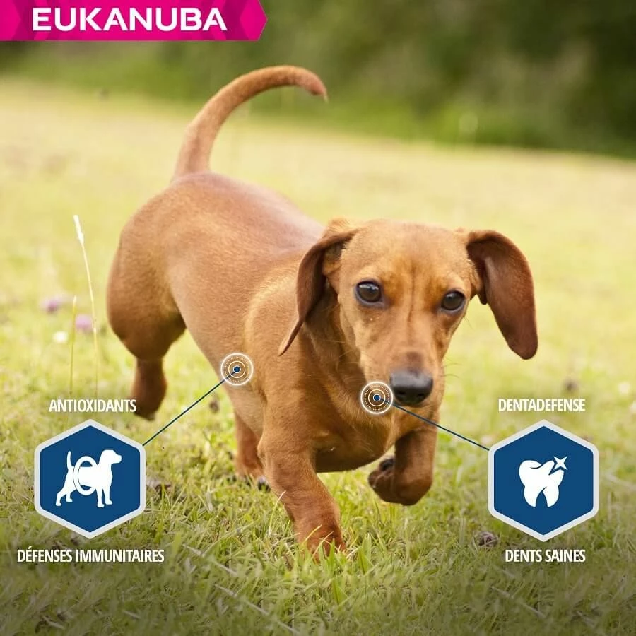 Eukanuba Chien Daily Care Surpoids Ou Stérilisé 12 Kg – Image 5