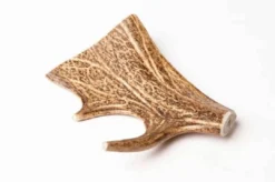 Evident Bois De Daim M