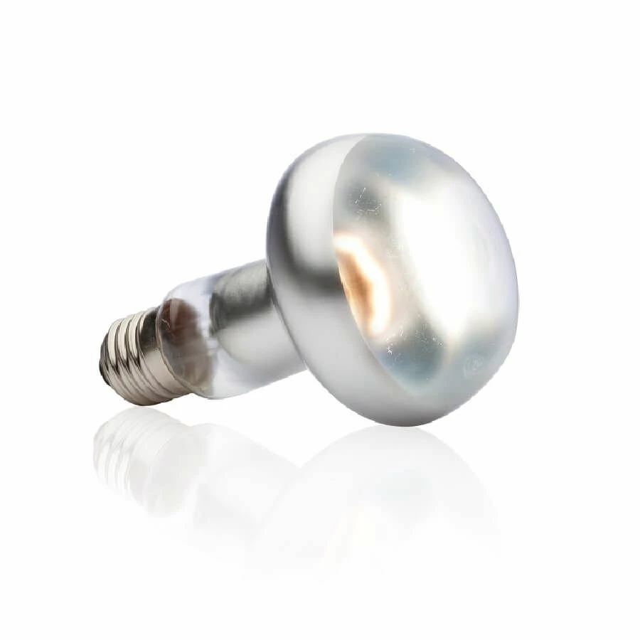 Exo Terra Lampe Intense à Vis Pour Terrarium 100 W – Image 2