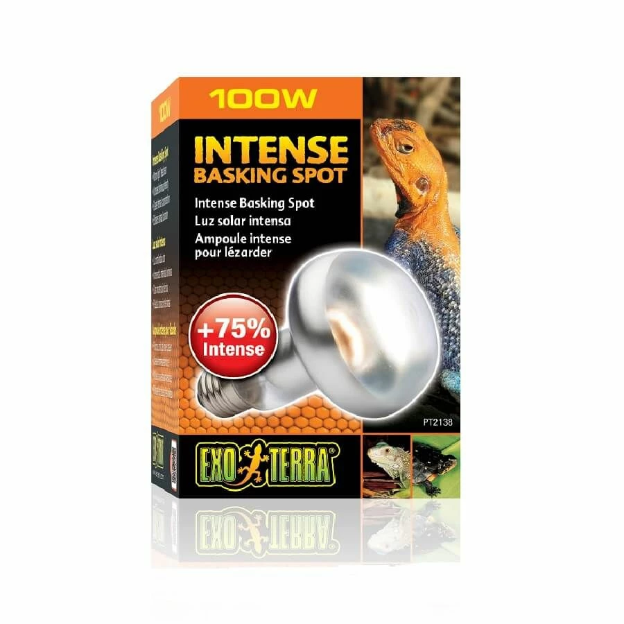 Exo Terra Lampe Intense Ă Vis Pour Terrarium 100 W
