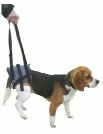 Harnais Handy Canis Pattes Arrières XL