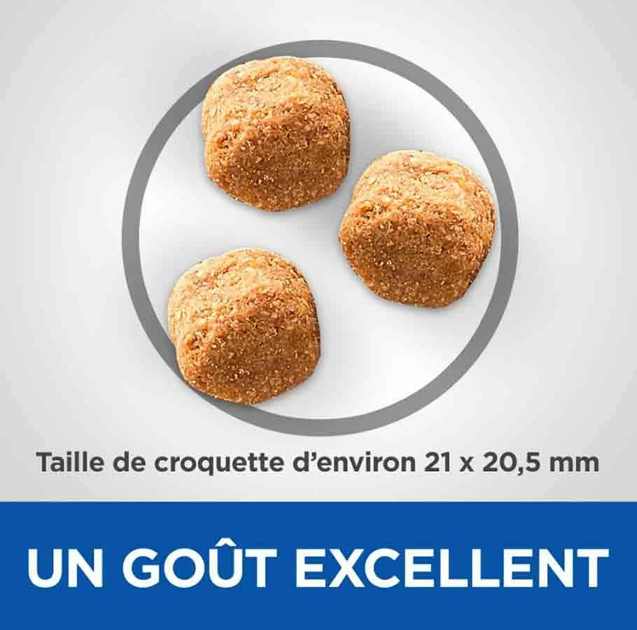 Hill's Science Plan VetEssentials Canine Adult Large Dental Health 13 Kg – Image 3