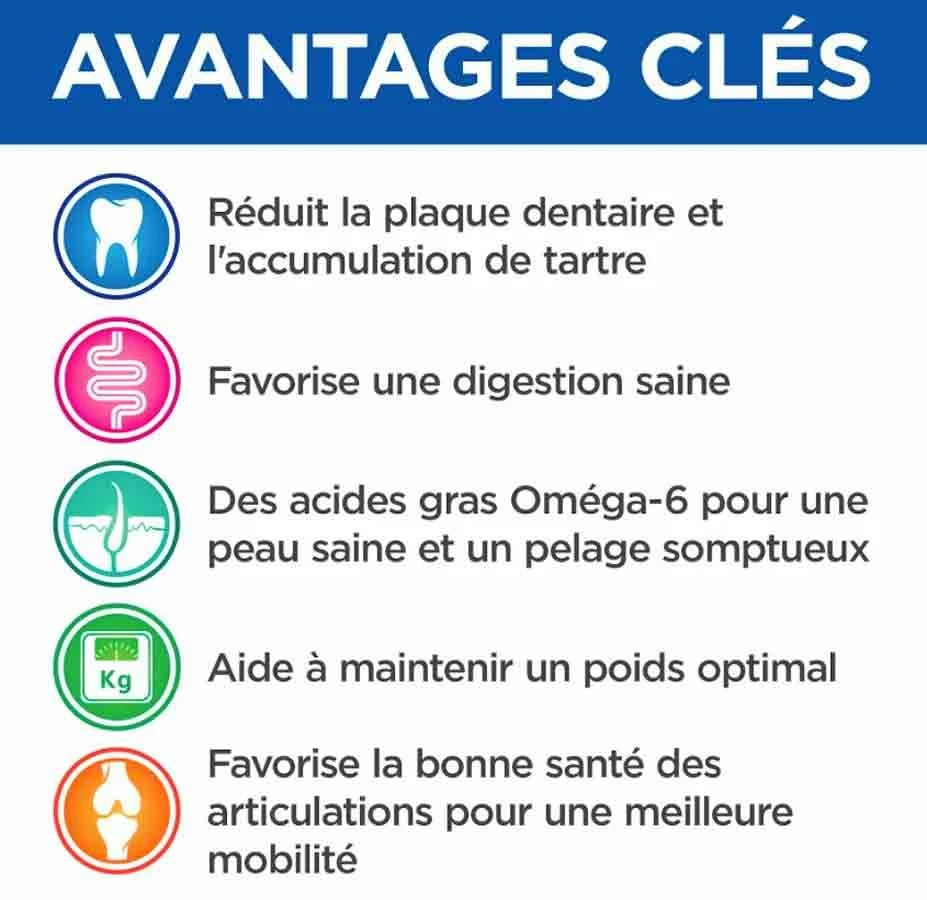 Hill's Science Plan VetEssentials Canine Adult Large Dental Health 13 Kg – Image 4