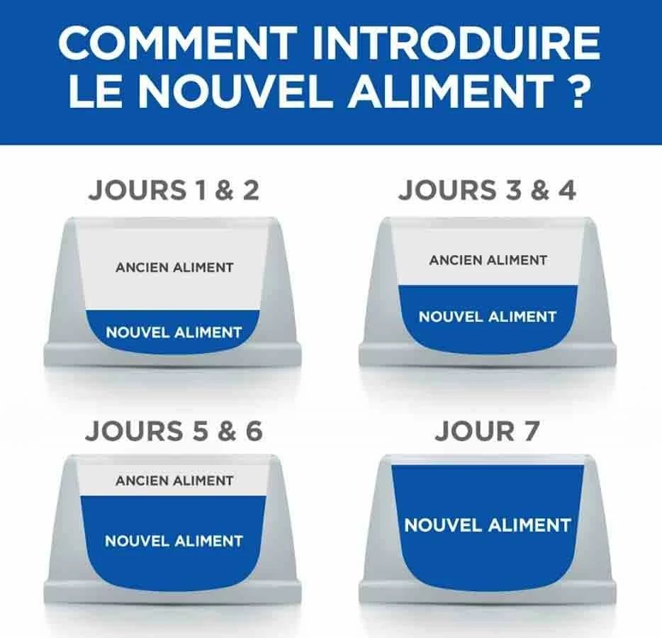 Hill's Science Plan VetEssentials Canine Adult Large Dental Health 13 Kg – Image 5