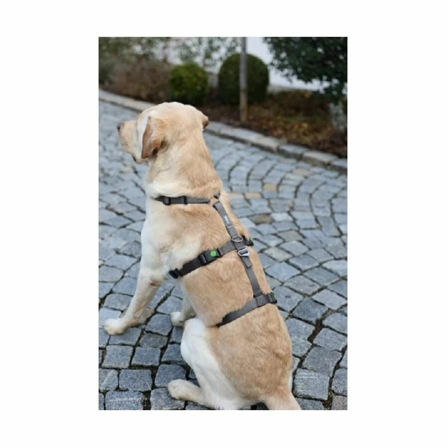 Kerbl Harnais Chien Anti-panique Miami Gris 38-52 Cm – Image 4