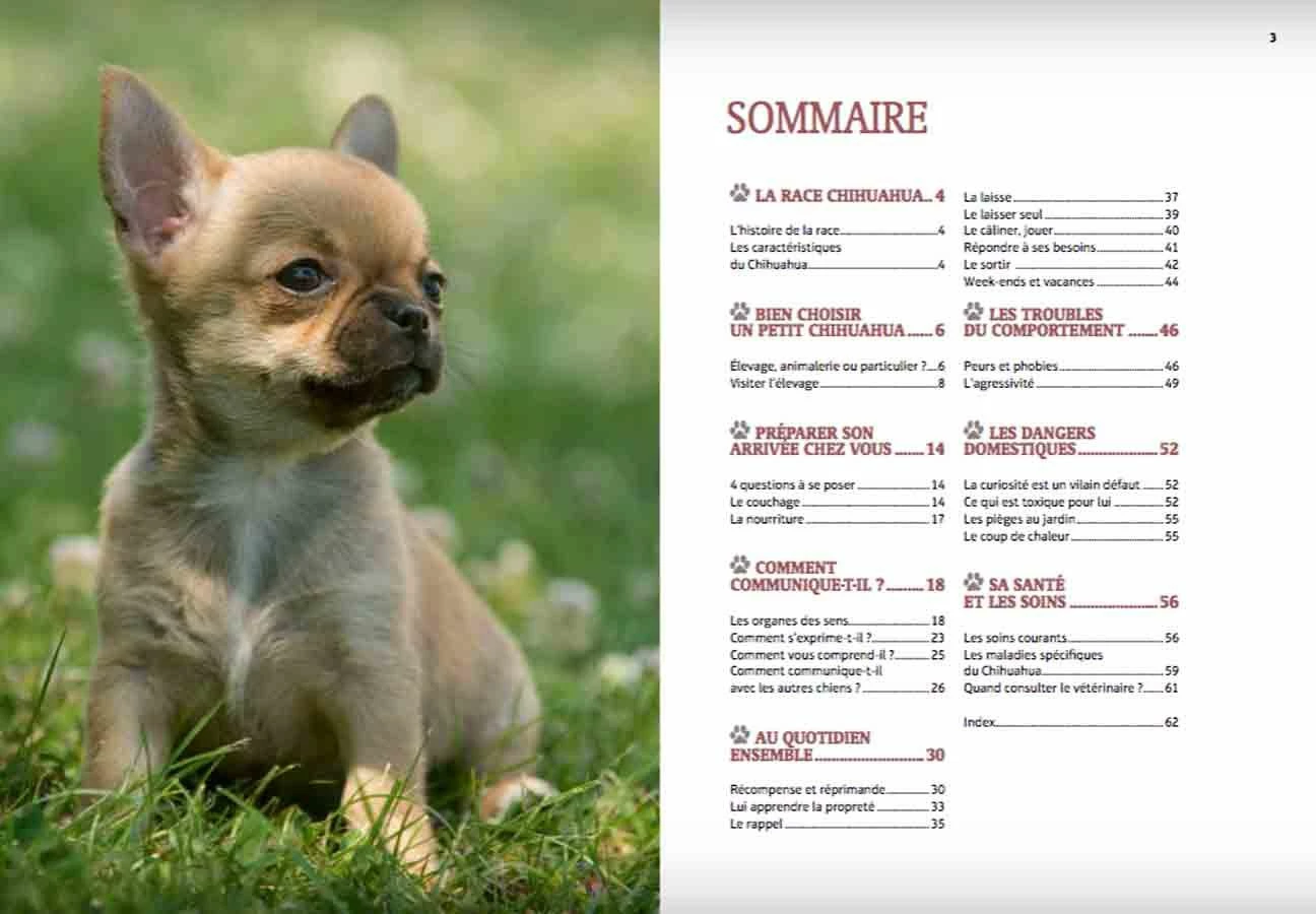 Livre - Bien Vivre Avec Mon Chihuahua â Image 2