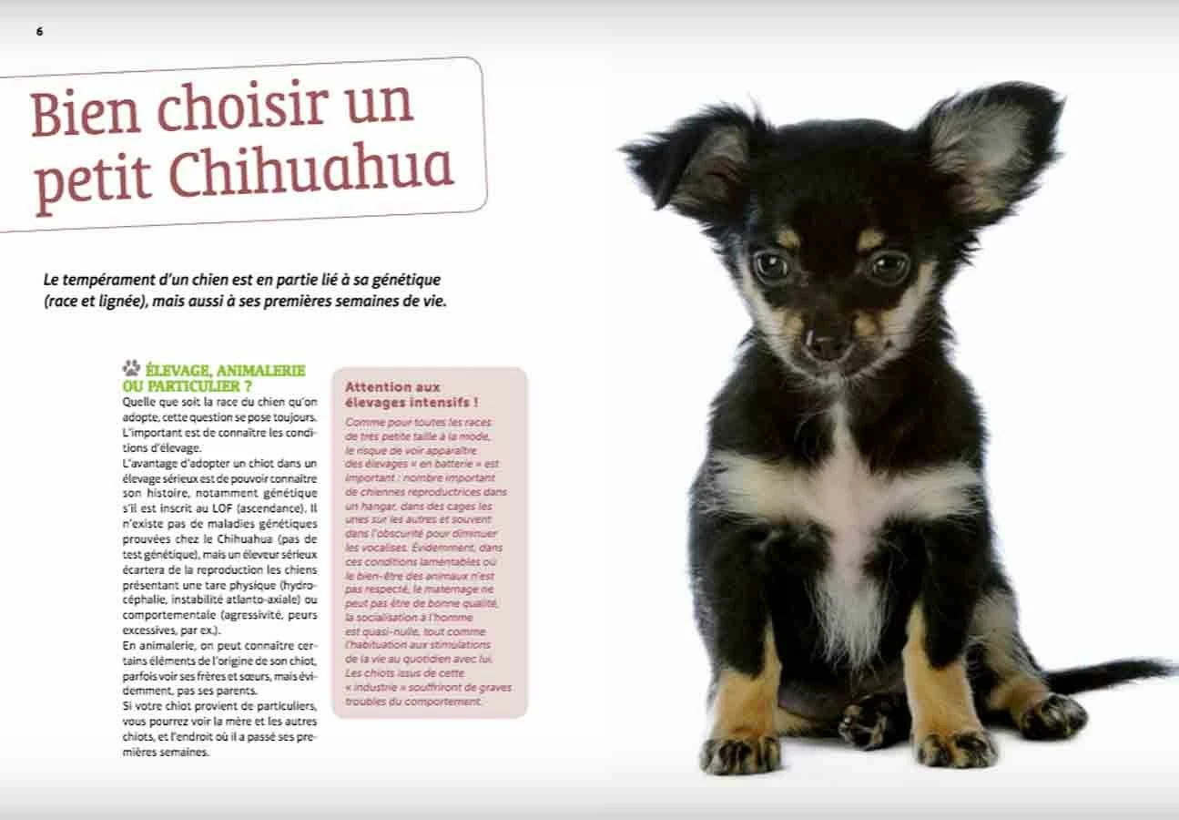 Livre - Bien Vivre Avec Mon Chihuahua â Image 3