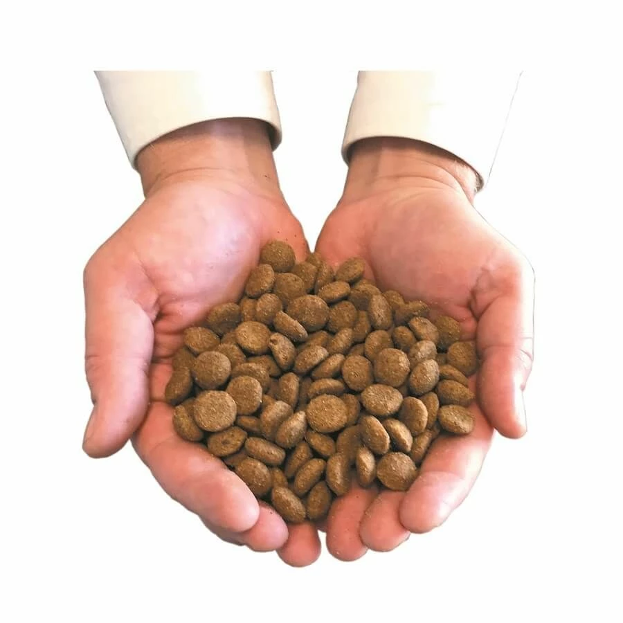 Felichef Croquettes BIO Sans Céréales, Sans Gluten Chat Adulte 5 Kg – Image 4