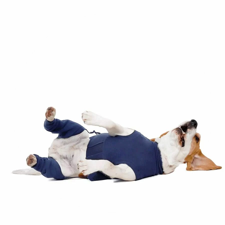 Medical Pet Shirt Manche De Protection Double Arrière XXS – Image 2