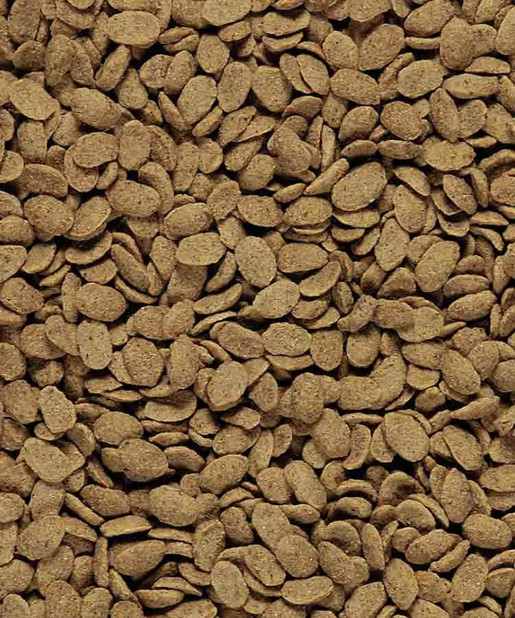 Nutribird P 15 Original Perroquet 3 Kg – Image 2