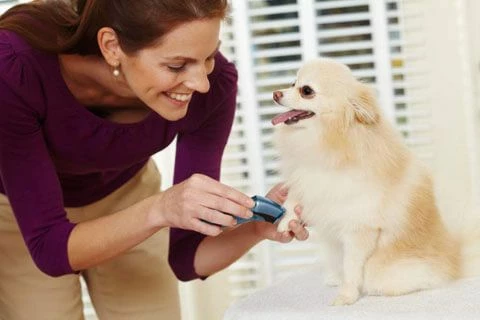 Oster® Mini Tondeuse Sans Fil Oster – Image 3