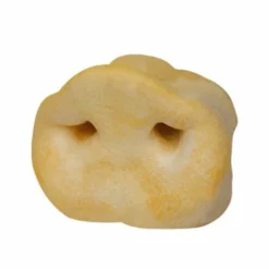 Gloria Museau De Porc 9 Cm