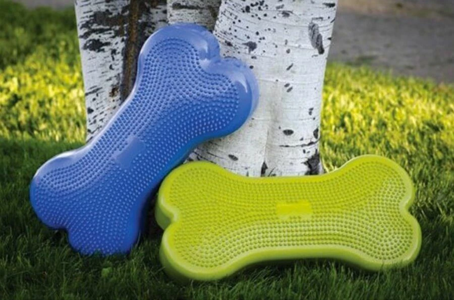 Plateforme Os Fitpaws Pour Chien – Image 2