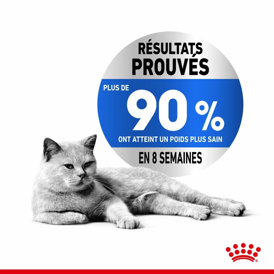 Royal Canin Féline Care Nutrition Light Weight Care 8 Kg – Image 3