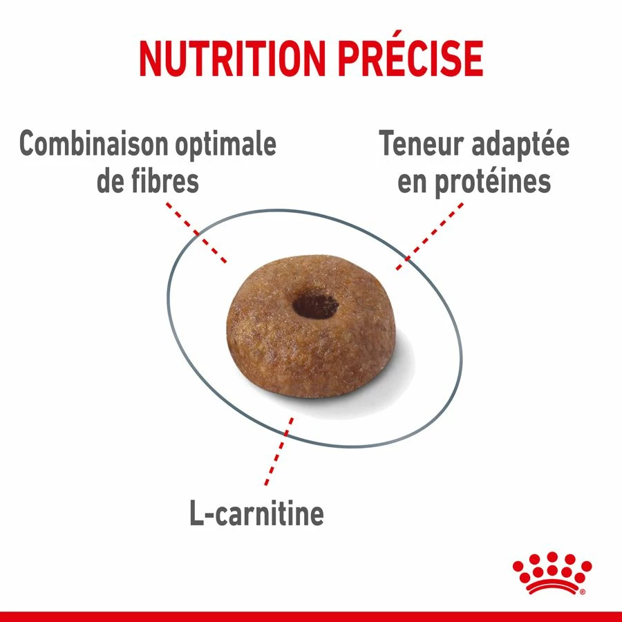 Royal Canin Féline Care Nutrition Light Weight Care 8 Kg – Image 2