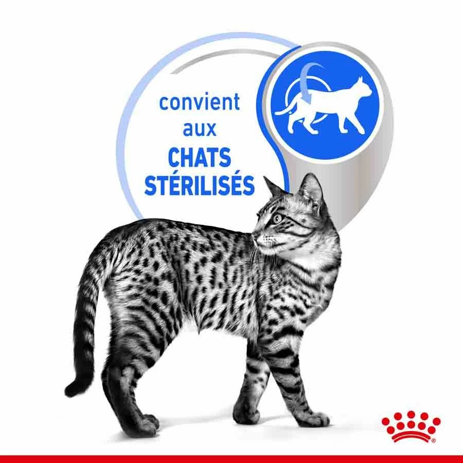 Royal Canin Feline Health Nutrition Indoor Sterilised Gelée 12 X 85 G – Image 2