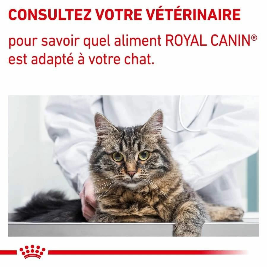 Royal Canin Vet Chat Mature Consult Balance 10 Kg – Image 9
