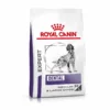 Royal Canin Vet Chien Dental 6 Kg