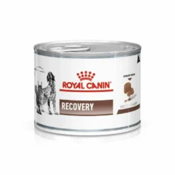 Royal Canin Veterinary Diet Recovery 195 Grs