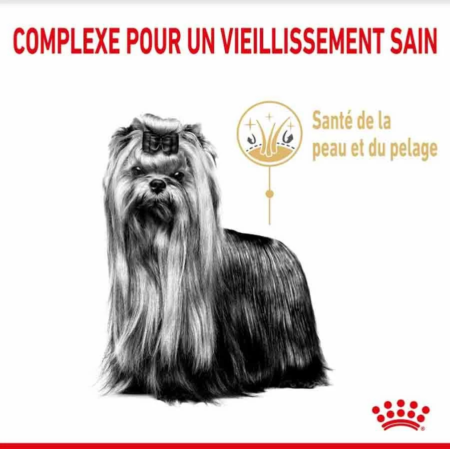 Royal Canin Yorkshire Terrier Adult 8+ 1,5 Kg – Image 2