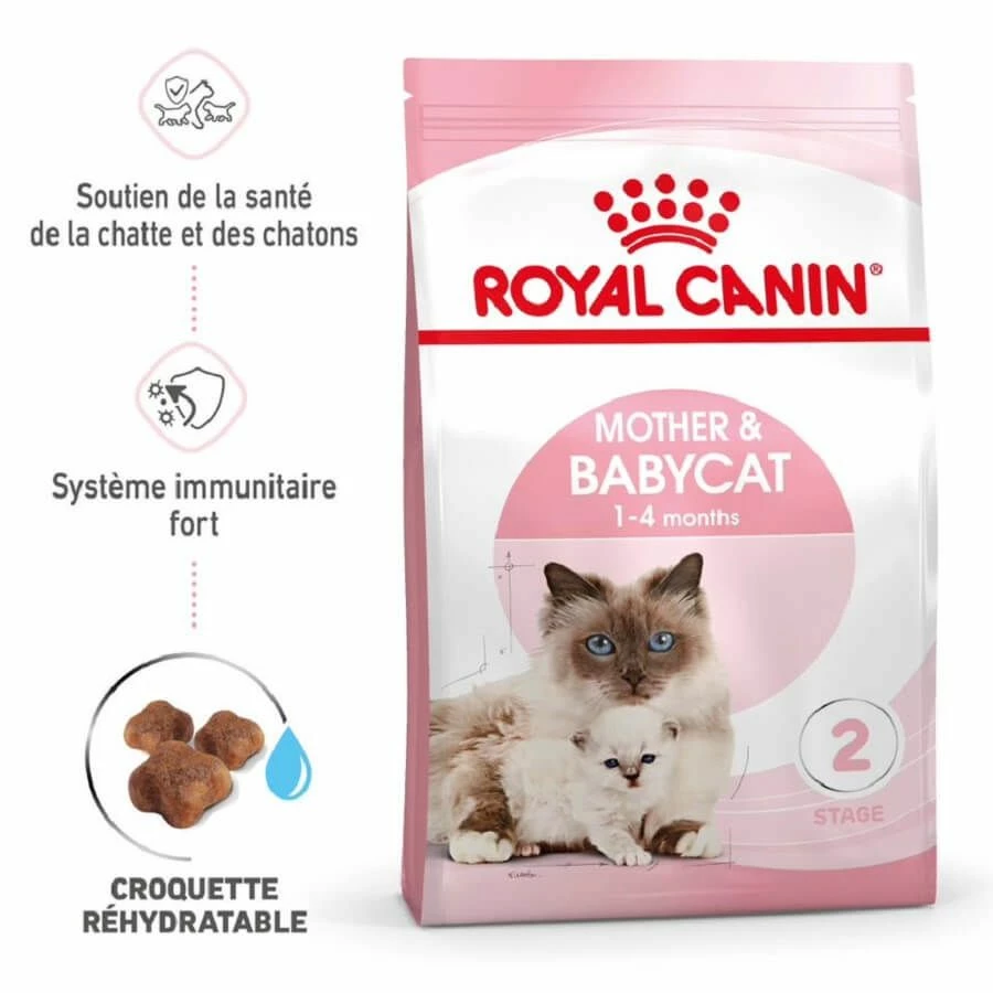 Royal Canin Féline Health Nutrition First Age Mother & Babycat 4 Kg – Image 4
