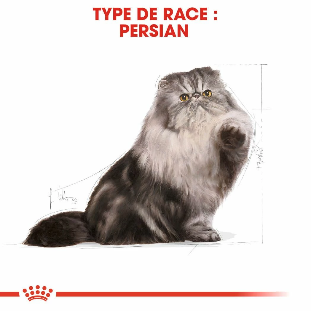 Royal Canin Persian Adult 4 Kg – Image 5