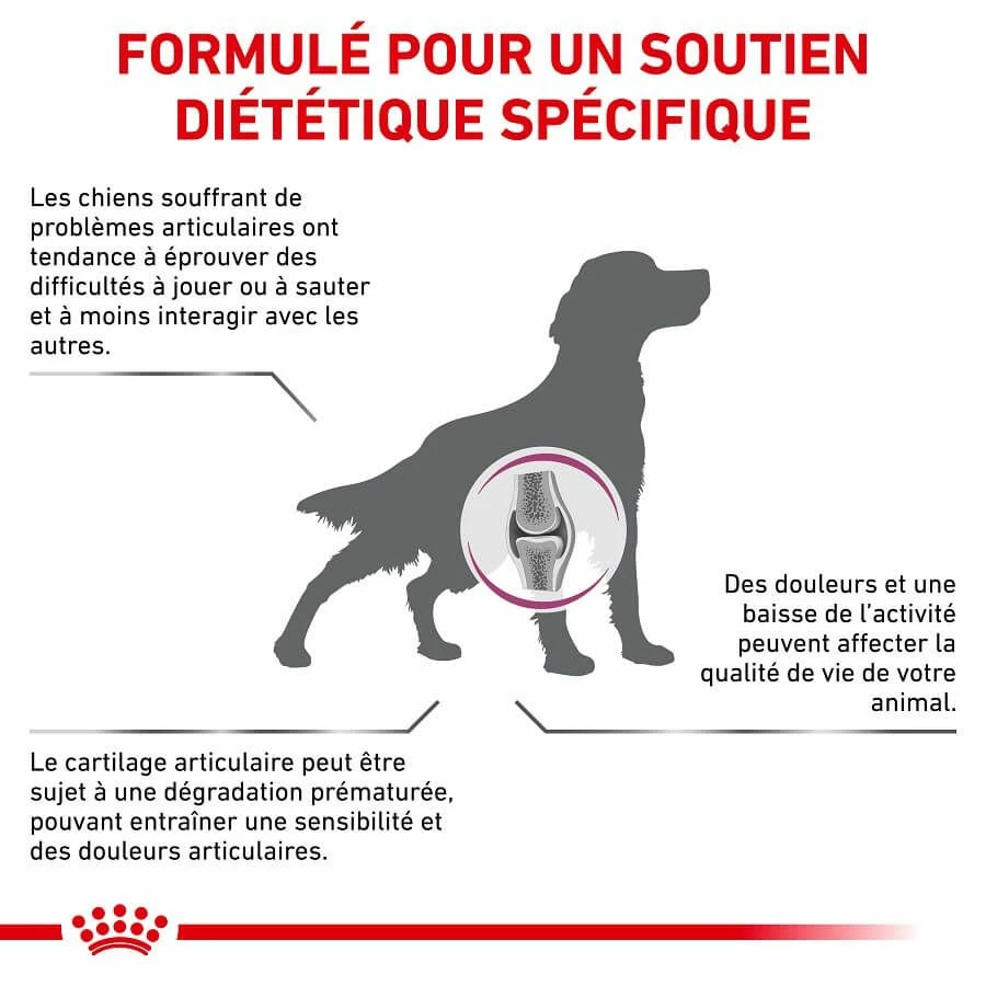 Royal Canin Vet Chien Mobility Support 12 Kg â Image 3