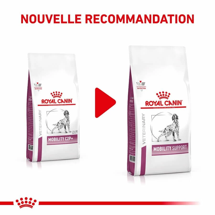 Royal Canin Vet Chien Mobility Support 12 Kg â Image 2