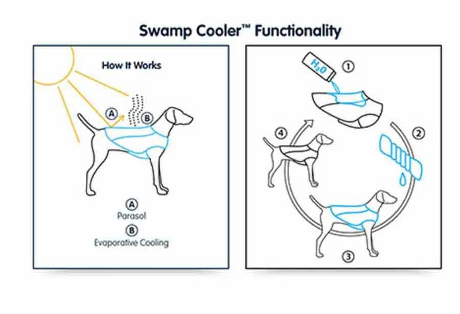 Ruffwear Jet Stream Orange XL - Destockage – Image 5