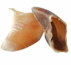 Bubimex Sabot De Veau X100