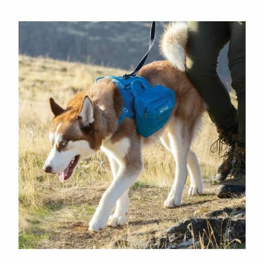Kurgo Sacoche RSG Dog Pack Bleu Azur – Image 2