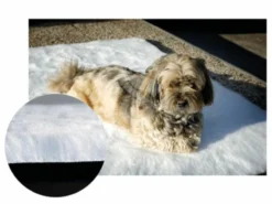 Tapis-Moquette Anti Escarres Pour Chien 70 X 90 Cm