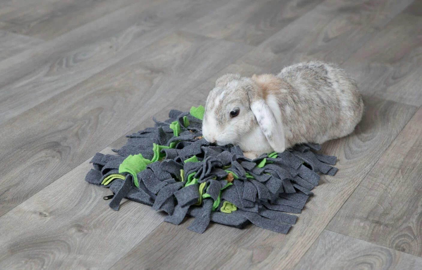 Trixie Tapis à Renifler Pour Lapin Et Cochon D'inde 27 × 20 Cm – Image 4